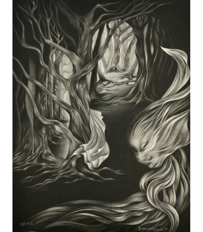 [COLLECTIF] - Les Poètes du rêve - DONATELLA