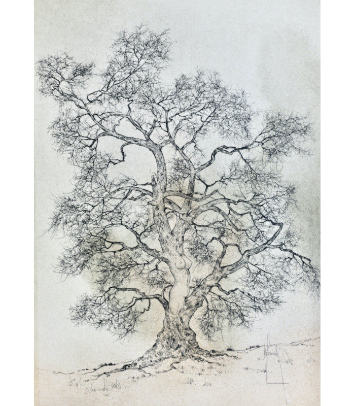 BAZIN (Hervé) - Torchères - COLLECTIF