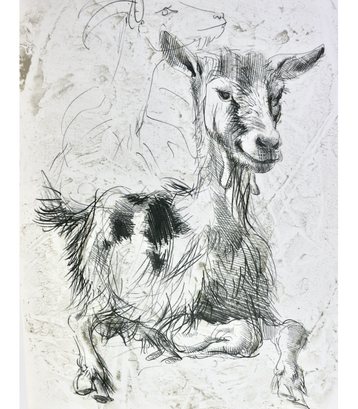 MONTHERLANT (Henry de) - Histoire naturelle imaginaire - ERNI (Hans)