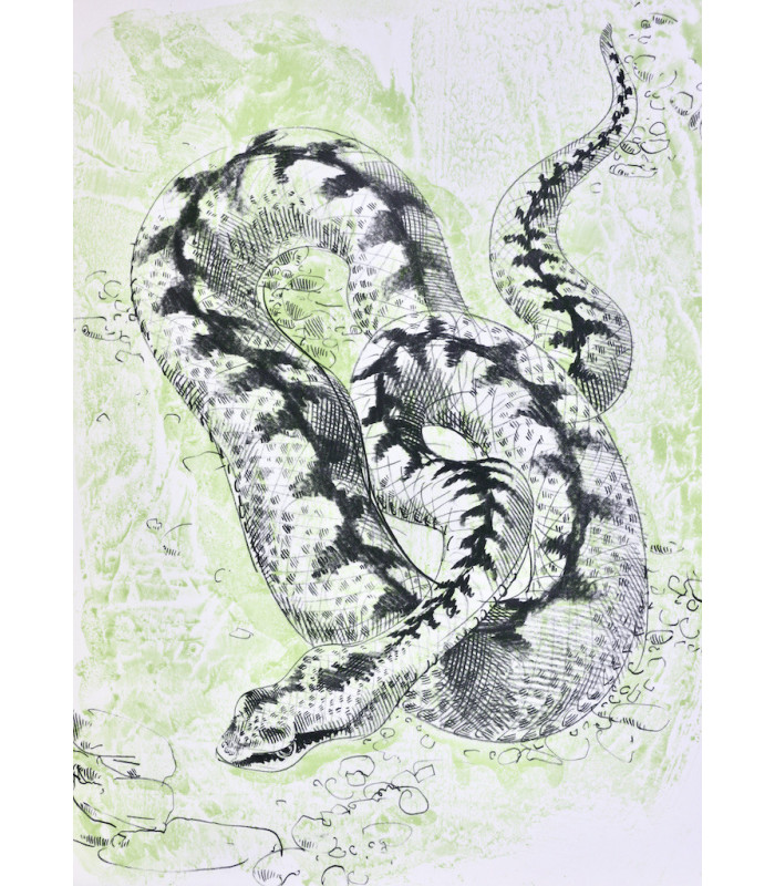 MONTHERLANT (Henry de) - Histoire naturelle imaginaire - ERNI (Hans)