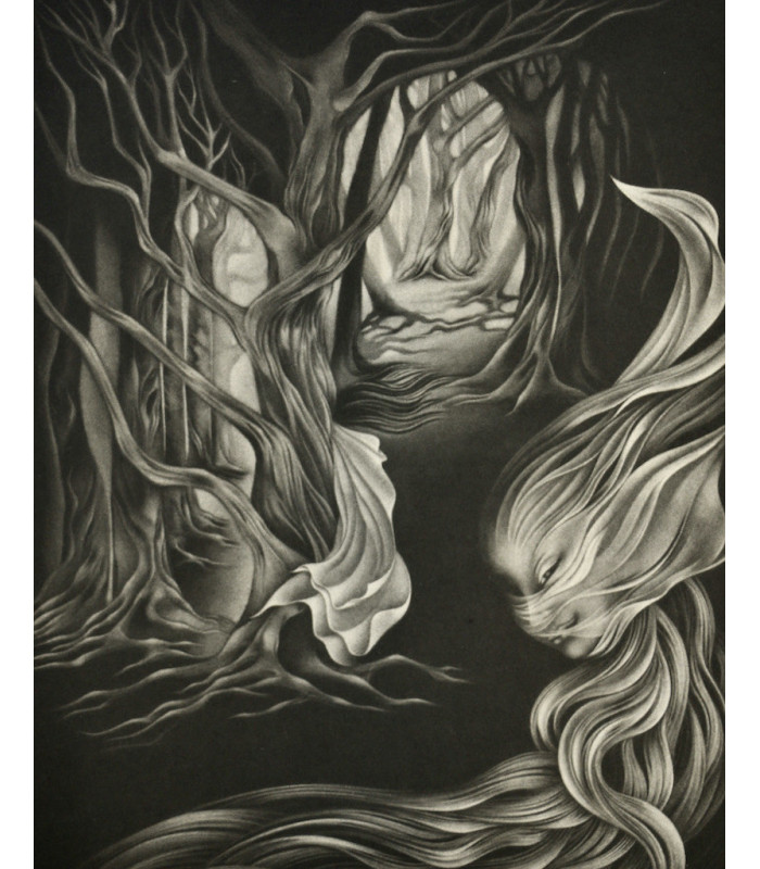 [COLLECTIF] - Les Poètes du rêve. Les Poètes du voyage - DONATELLA & ESTÈBE (Michel)