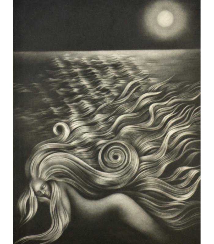 [COLLECTIF] - Les Poètes du rêve. Les Poètes du voyage - DONATELLA & ESTÈBE (Michel)