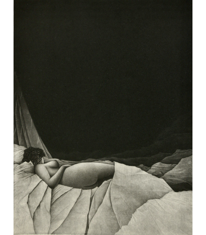 [COLLECTIF] - Les Poètes du rêve. Les Poètes du voyage - DONATELLA & ESTÈBE (Michel)