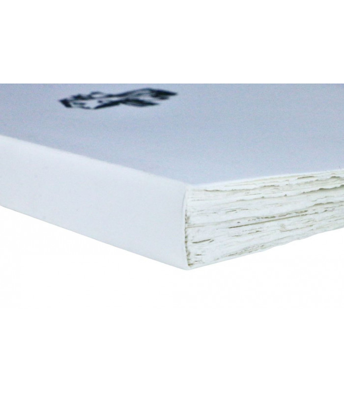 CORYELL (André) - Les Chameaux du myope - PINS (Jacob) & BILAN (Richard)