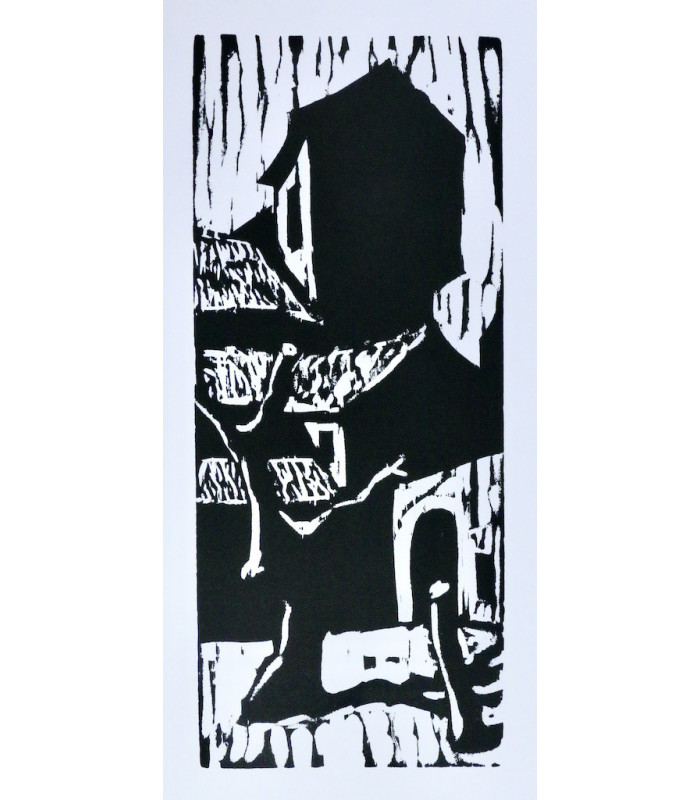 CORYELL (André) - Les Chameaux du myope - PINS (Jacob) & BILAN (Richard)