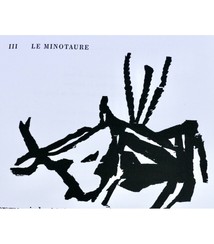 CORYELL (André) - Les Chameaux du myope - PINS (Jacob) & BILAN (Richard)