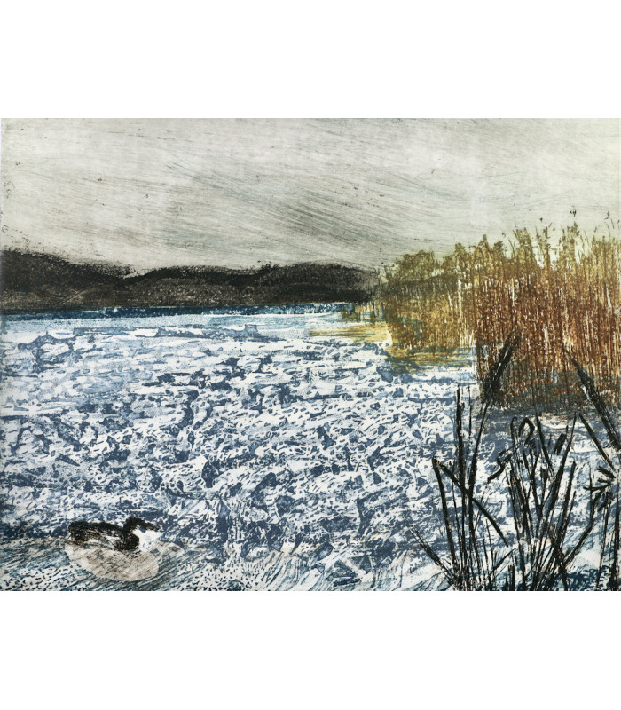 POURTALÈS (Guy de) - Marins d'eau douce - SERVE (Joëlle)