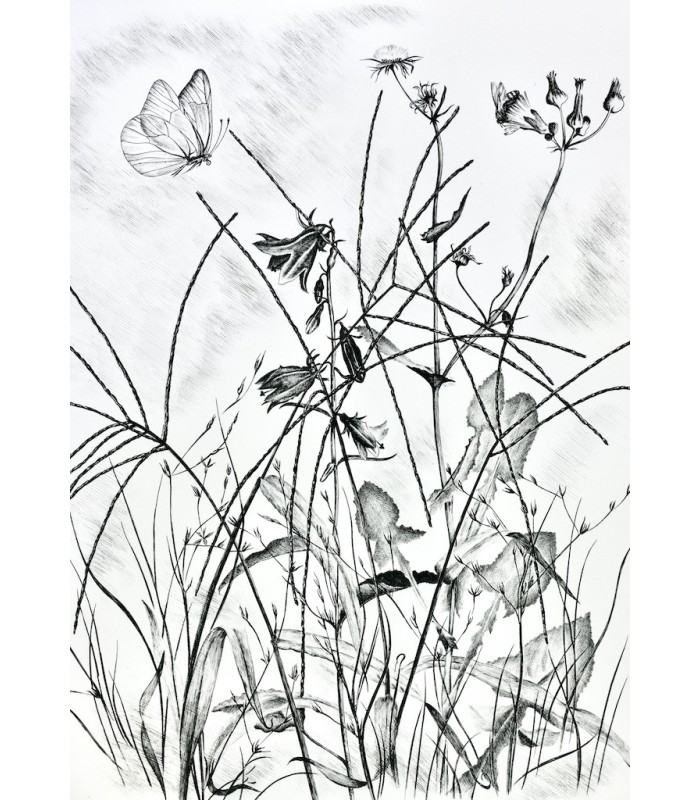 MAETERLINCK (Maurice) - L’Intelligence des Fleurs - NOTTON (Tavy)