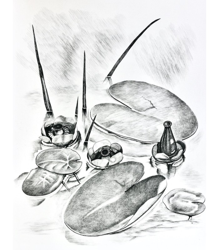 MAETERLINCK (Maurice) - L’Intelligence des Fleurs - NOTTON (Tavy)