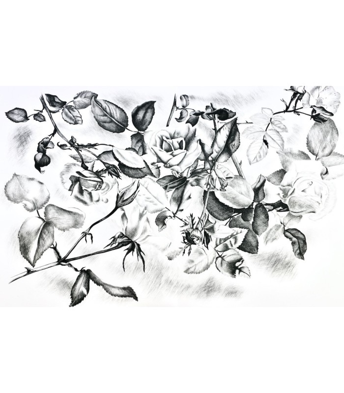 MAETERLINCK (Maurice) - L’Intelligence des Fleurs - NOTTON (Tavy)