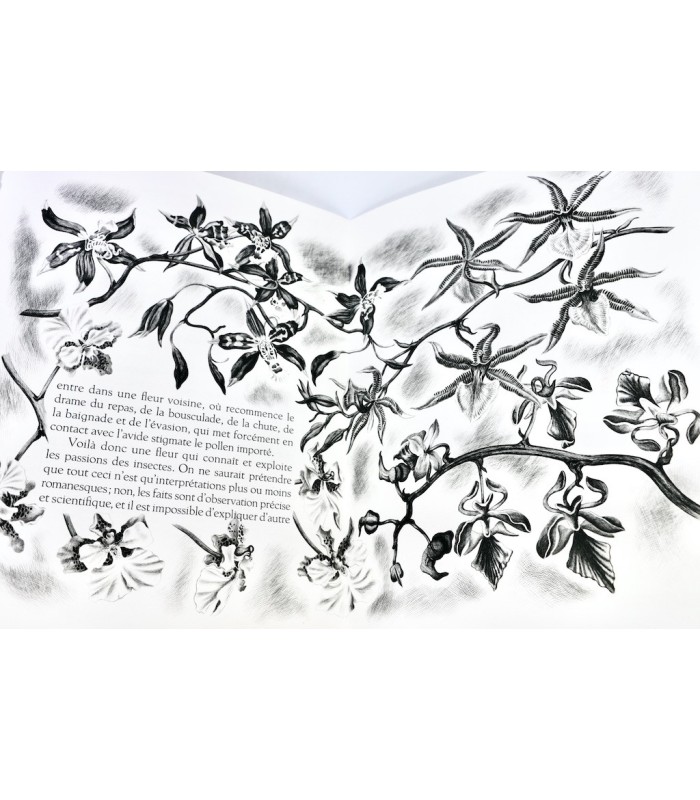 MAETERLINCK (Maurice) - L’Intelligence des Fleurs - NOTTON (Tavy)