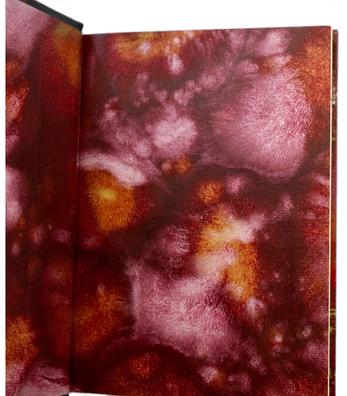 LOUŸS (Pierre) - Aphrodite - BÉCAT (Paul-Émile)