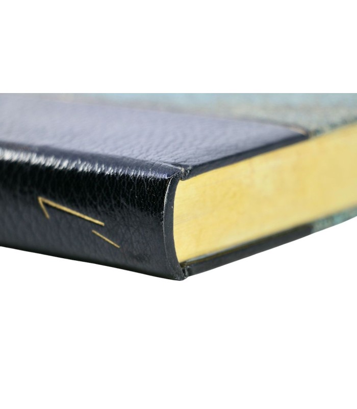 VOLTAIRE - L’Ingénu - NAUDIN (Bernard)