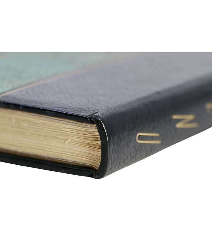 VOLTAIRE - L’Ingénu - NAUDIN (Bernard)