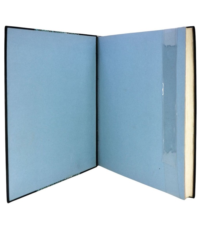 VOLTAIRE - L’Ingénu - NAUDIN (Bernard)