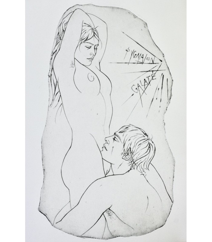 OVIDE - Métamorphoses - TRÉMOIS (Pierre-Yves)