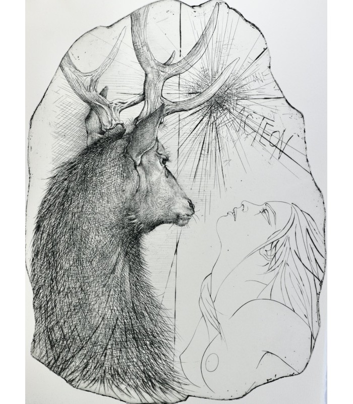 OVIDE - Métamorphoses - TRÉMOIS (Pierre-Yves)