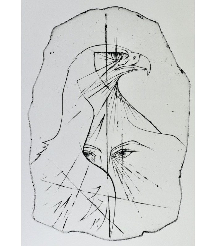 OVIDE - Métamorphoses - TRÉMOIS (Pierre-Yves)