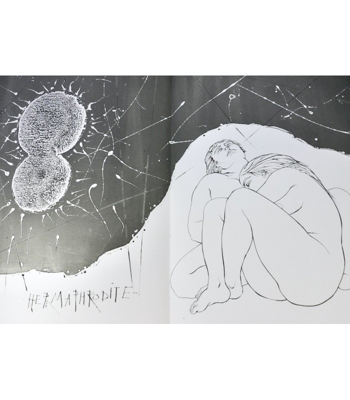 OVIDE - Métamorphoses - TRÉMOIS (Pierre-Yves)