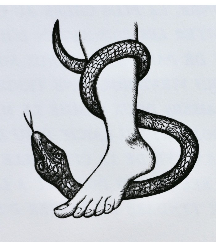 BADE (Josse) - La Nef des folles - BELTZ (Robert)