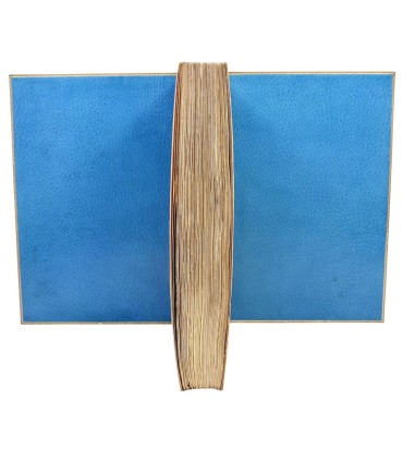 ADÈS (Albert) & JOSIPOVICI (Albert) - Le livre de Goha le Simple - LE RICHE (Henri)