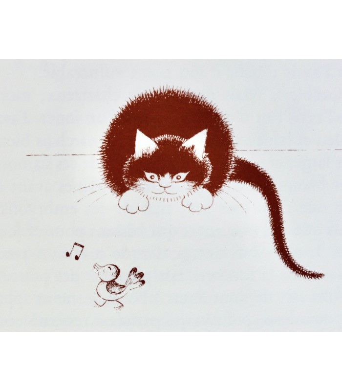 MERY (Docteur F.) - Entre chats - DUBOUT (Albert)