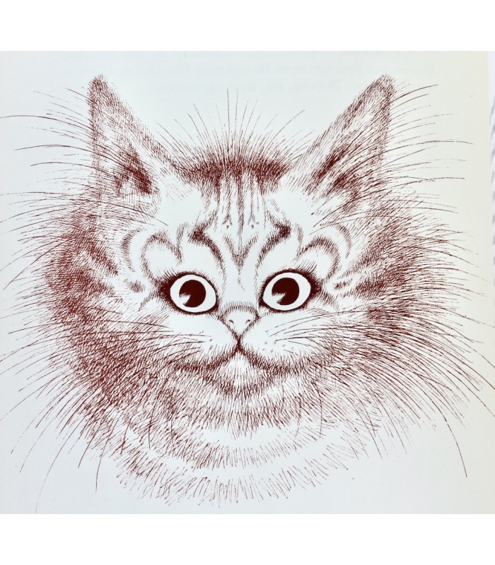 MERY (Docteur F.) - Entre chats - DUBOUT (Albert)