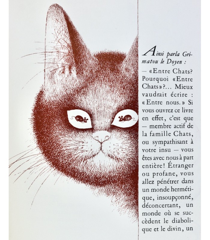 MERY (Docteur F.) - Entre chats - DUBOUT (Albert)