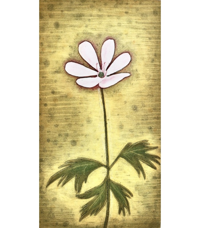 GROSJEAN (Jean) - Herbier - RIGAL (Jacques-Joachim-Jean)