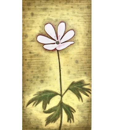 GROSJEAN (Jean) - Herbier - RIGAL (Jacques-Joachim-Jean)