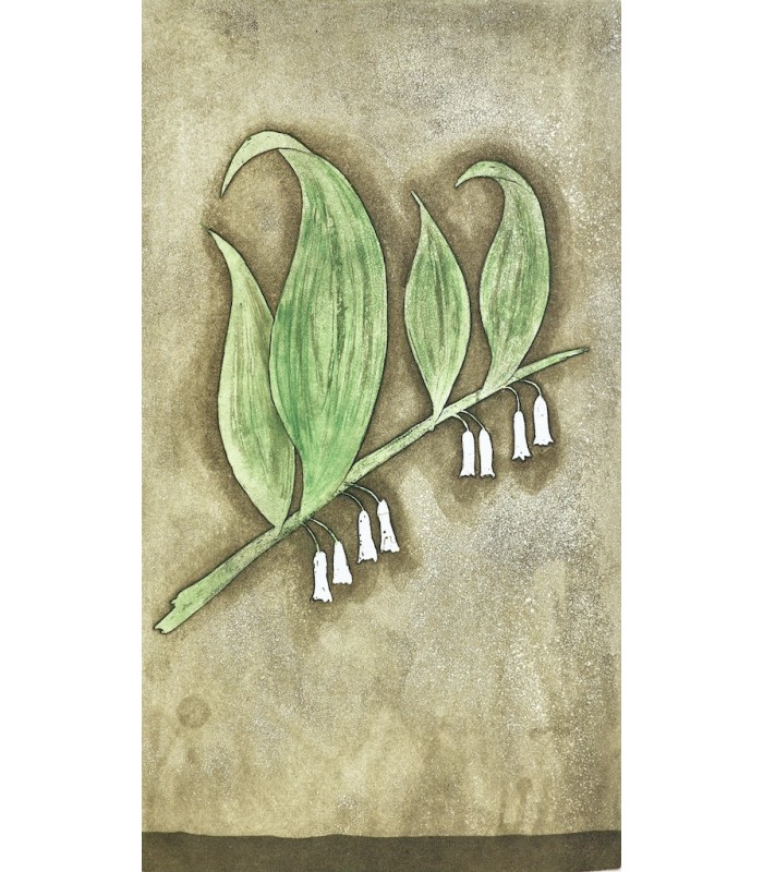 GROSJEAN (Jean) - Herbier - RIGAL (Jacques-Joachim-Jean)