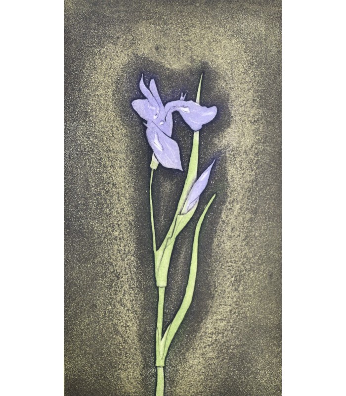 GROSJEAN (Jean) - Herbier - RIGAL (Jacques-Joachim-Jean)