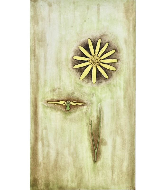 GROSJEAN (Jean) - Herbier - RIGAL (Jacques-Joachim-Jean)