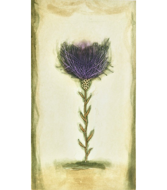 GROSJEAN (Jean) - Herbier - RIGAL (Jacques-Joachim-Jean)