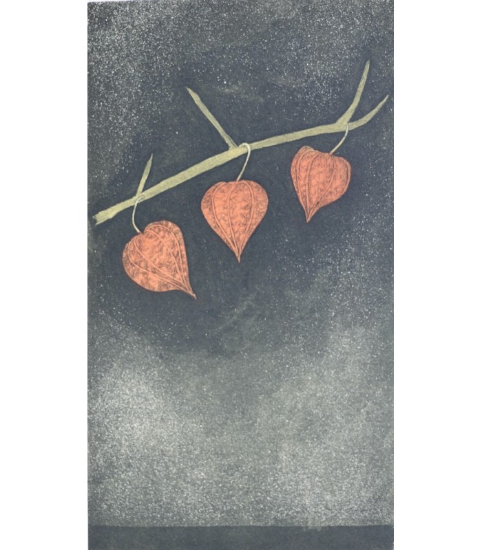 GROSJEAN (Jean) - Herbier - RIGAL (Jacques-Joachim-Jean)