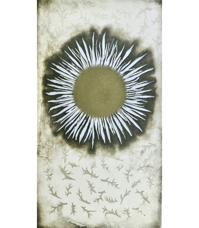 GROSJEAN (Jean) - Herbier - RIGAL (Jacques-Joachim-Jean)