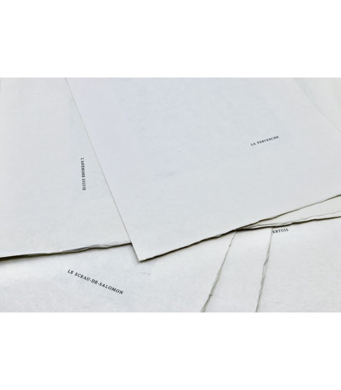 GROSJEAN (Jean) - Herbier - RIGAL (Jacques-Joachim-Jean)