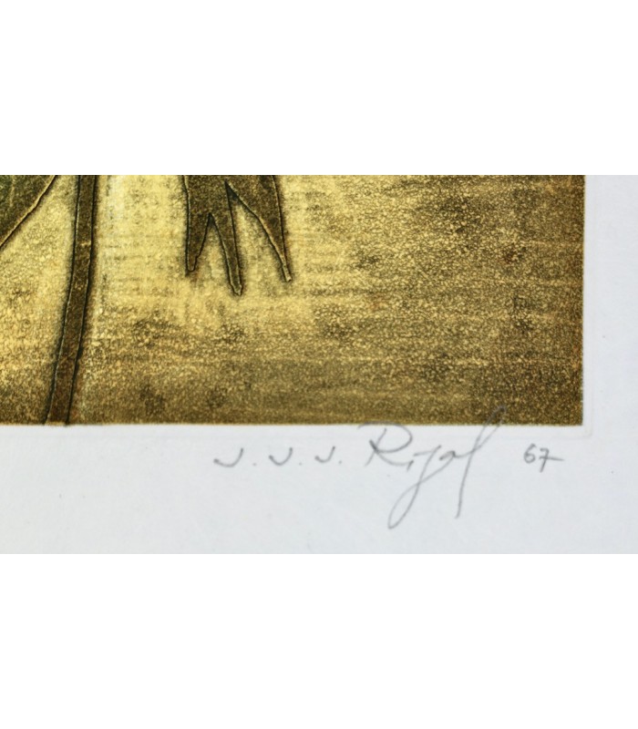 GROSJEAN (Jean) - Herbier - RIGAL (Jacques-Joachim-Jean)