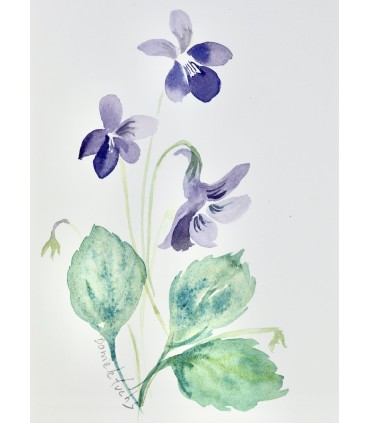 SAINTE-MAURE (Charles de) - Guirlande de Julie - FUCHS (Danièle)