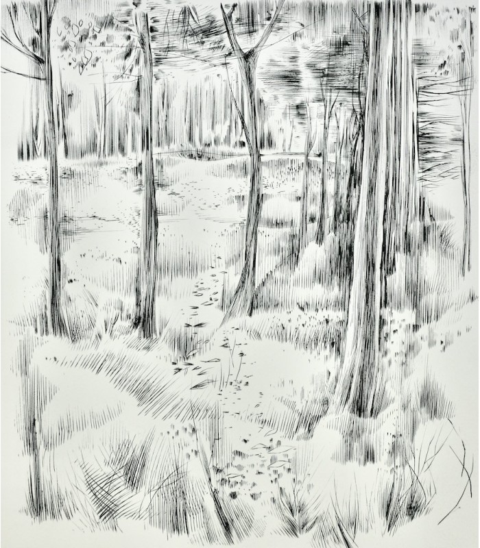 NERVAL (Gérard de) - Sylvie - BLANCHET (Jean-Pierre)