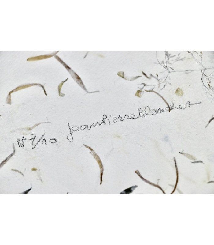 NERVAL (Gérard de) - Sylvie - BLANCHET (Jean-Pierre)