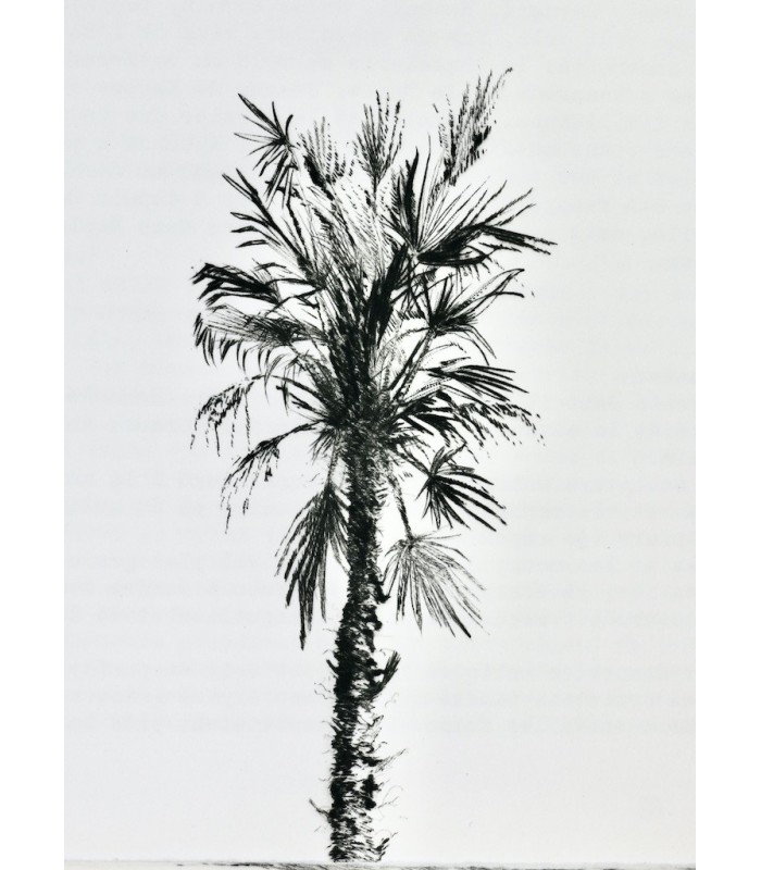 CHATEAUBRIAND (François René, vicomte de) - Voyage en Italie. Lettre A.M. Joubert - DIAZ (Gérard)