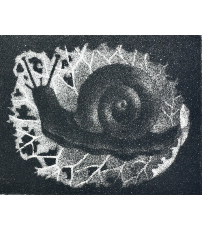 BRILLAT-SAVARIN (Anthelme) - Aphorismes, Menus et Variétés - AVATI (Mario)