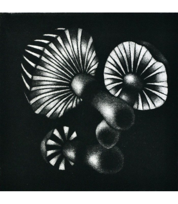 BRILLAT-SAVARIN (Anthelme) - Aphorismes, Menus et Variétés - AVATI (Mario)