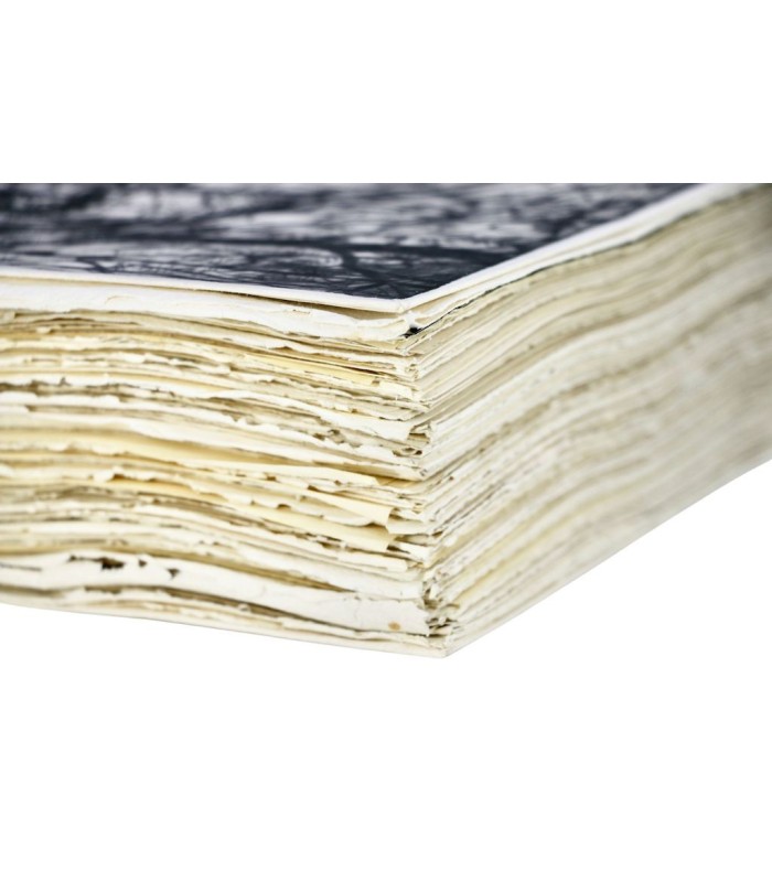 LA VARENDE (Jean de) - Nez-de-cuir. Gentilhomme d'amour - BARRET (Gaston)