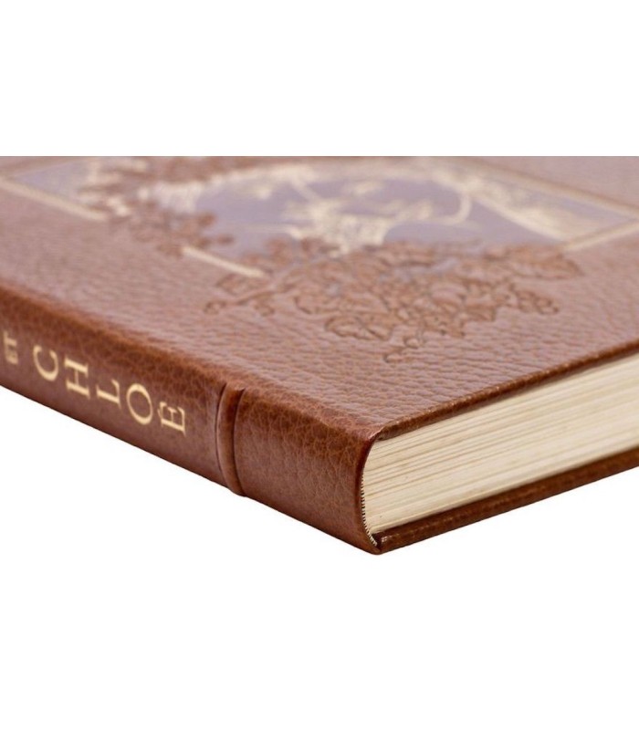 LONGUS - Daphnis et Chloé - DAUCE (Paul)