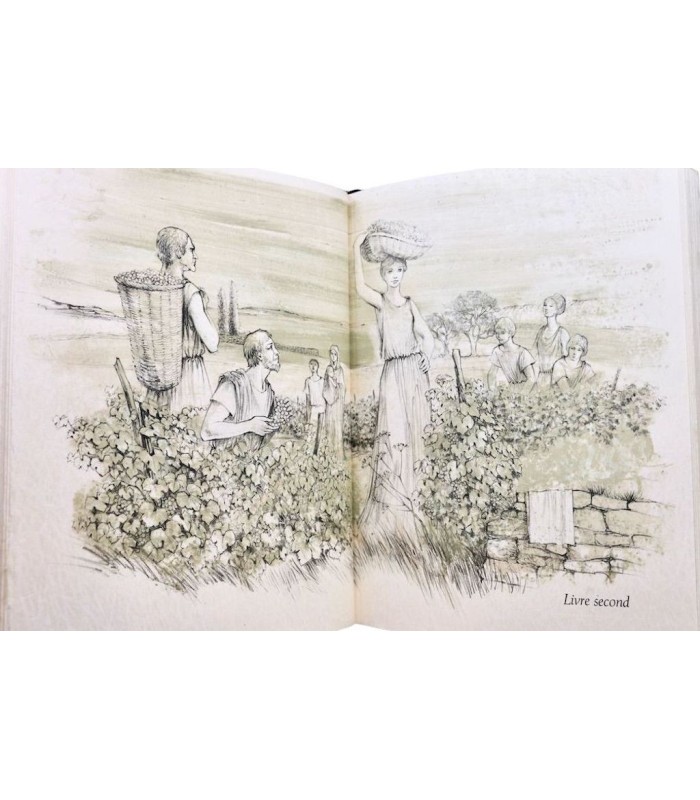 LONGUS - Daphnis et Chloé - DAUCE (Paul)