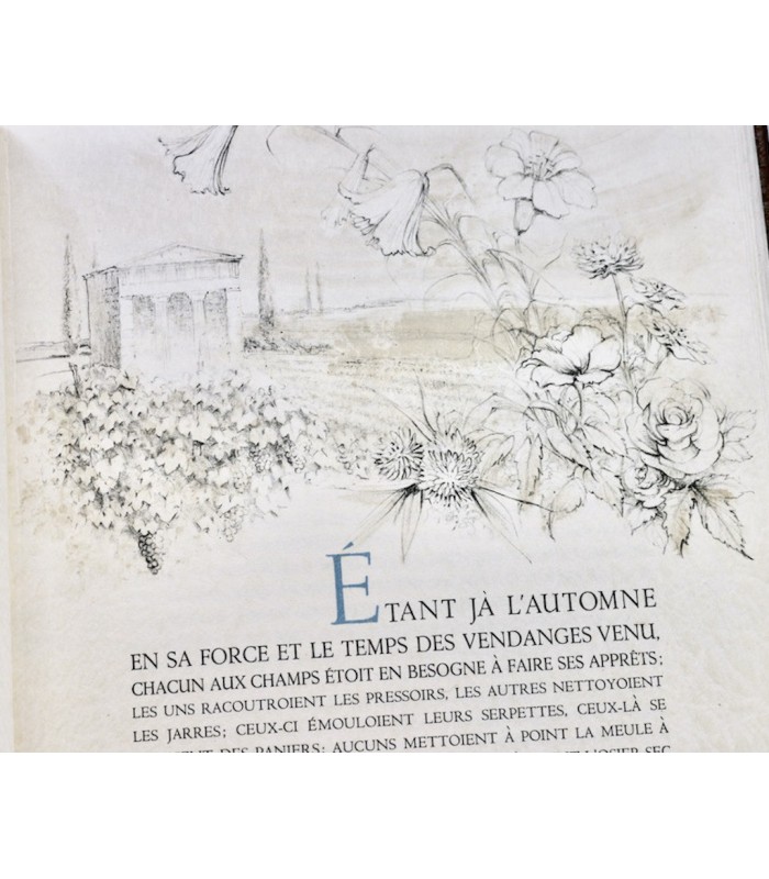 LONGUS - Daphnis et Chloé - DAUCE (Paul)