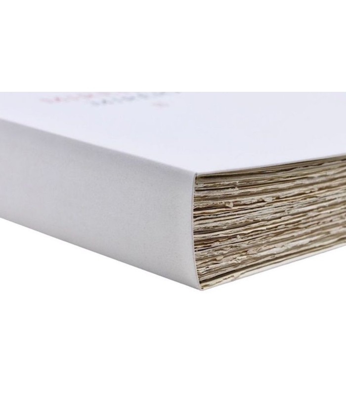 MISTRAL (Frédéric) - Mireille. Mirèio. Poème provençal - CLOUZOT (Marianne)