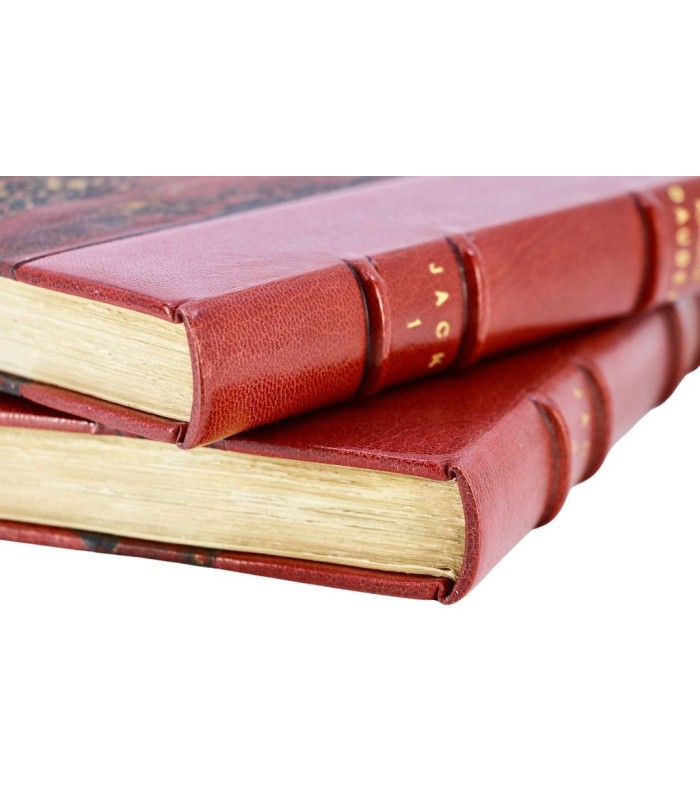 DAUDET (Alphonse) - Jack - ROUSSEAU (Pierre)